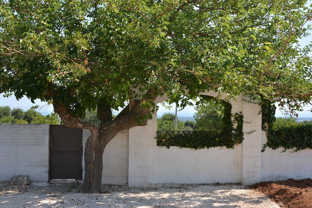 Masseria Gravinella Fasano Ngoại thất bức ảnh